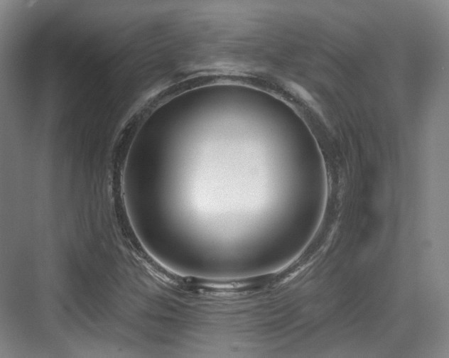 X0000073931307200608111150