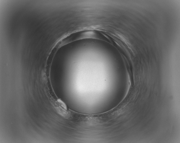 X0000073931308200608111150