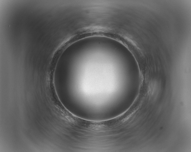 X0000073931309200608111150