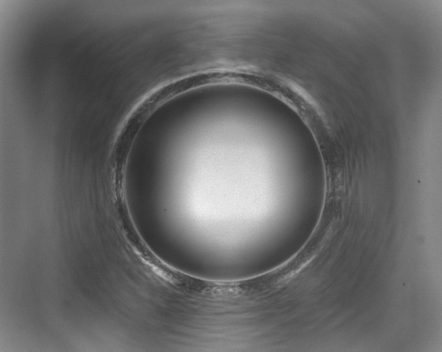 X0000073931310200608111150