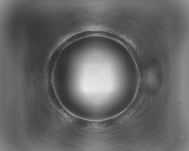 X0000073931311200608111150