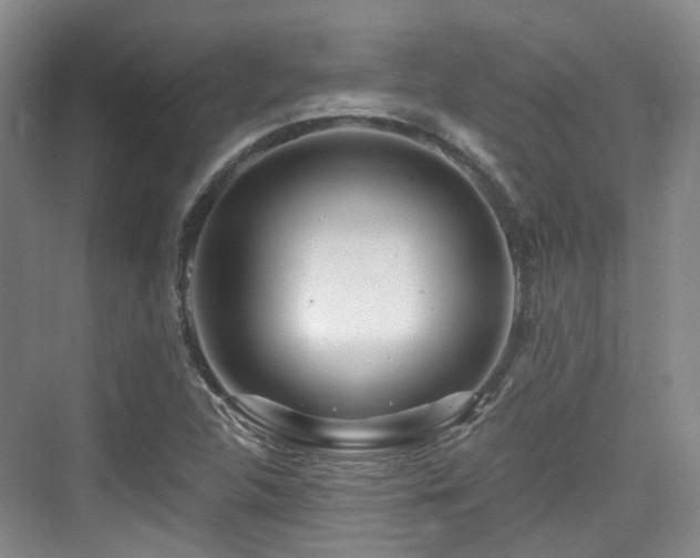 X0000073931312200608111150