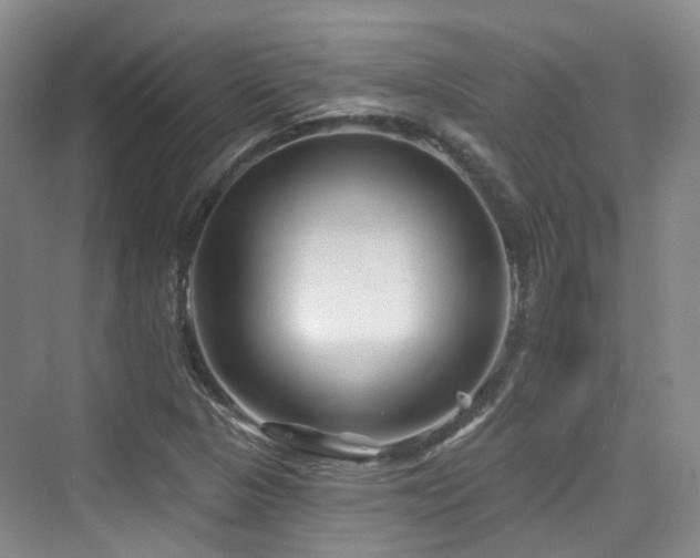 X0000073931313200608111150