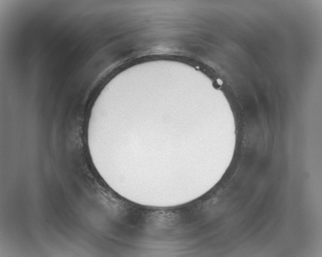 X0000073931314200608111150