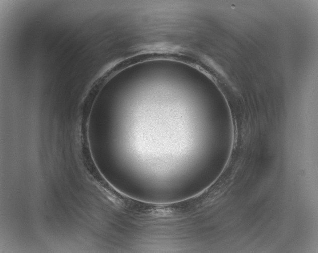 X0000073931315200608111150