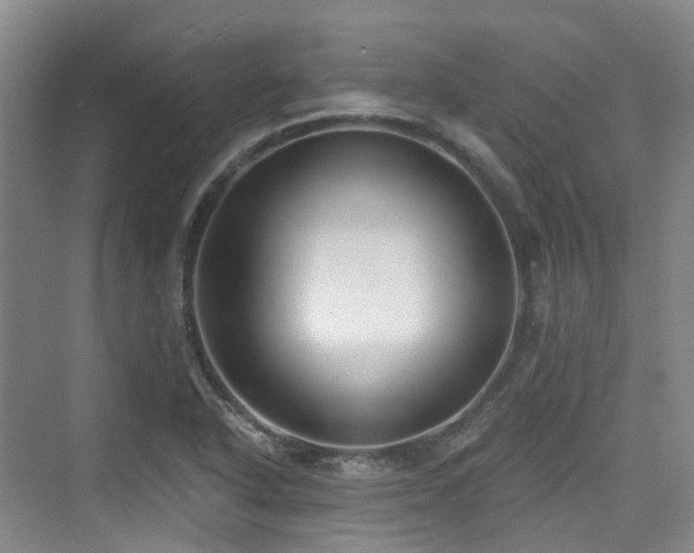 X0000073931318200608111150