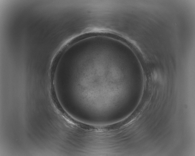 X0000073931319200608111150