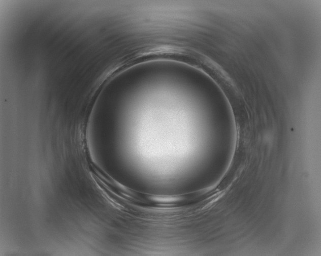 X0000073931321200608111150