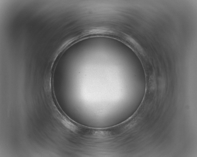 X0000073931322200608111150