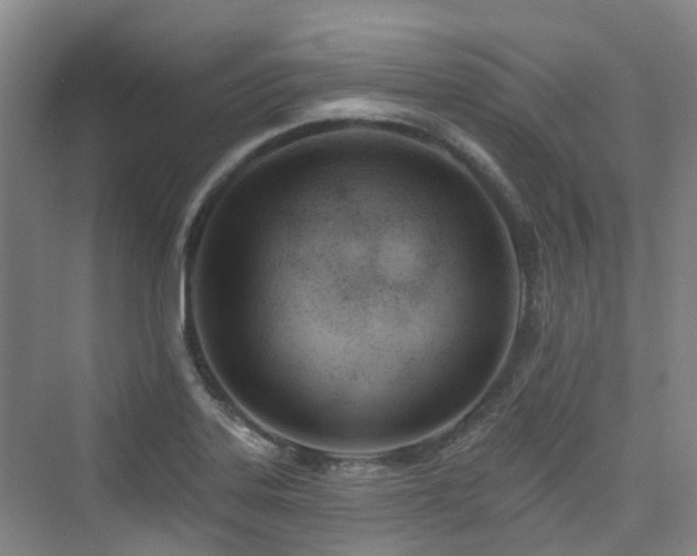 X0000073931323200608111150