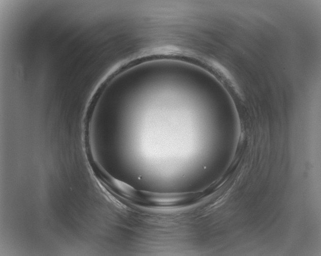 X0000073931326200608111150