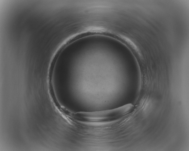 X0000073931327200608111150