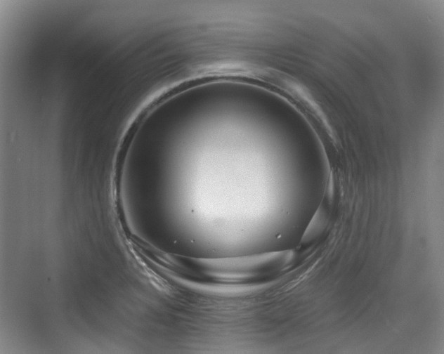 X0000073931328200608111150