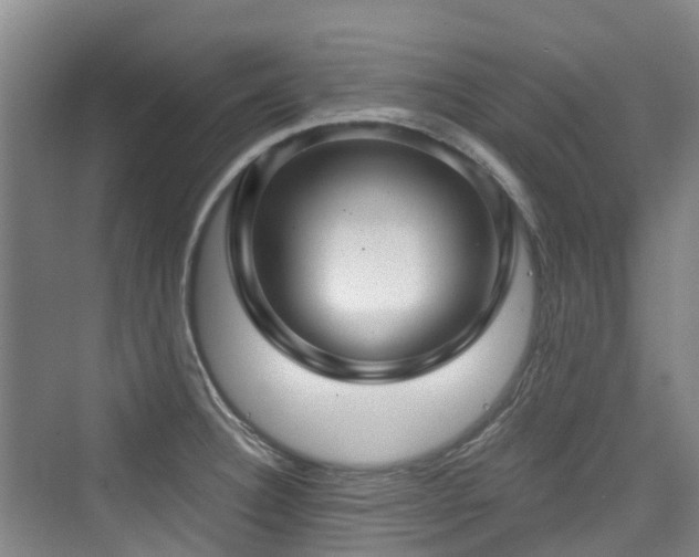 X0000073931332200608111150