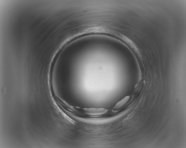 X0000073931334200608111150