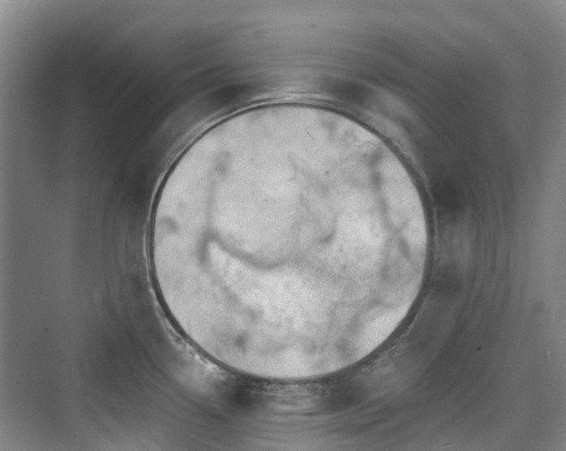 X0000073931338200608111150