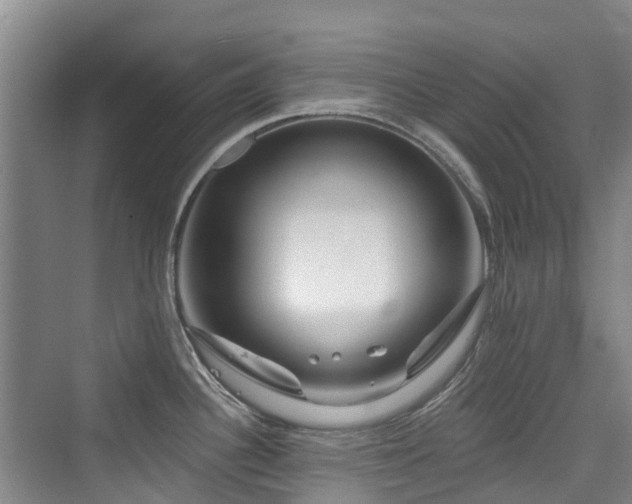 X0000073931340200608111150