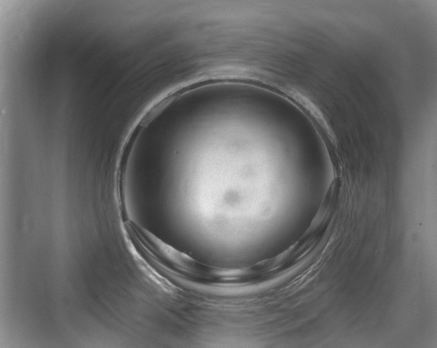 X0000073931342200608111150