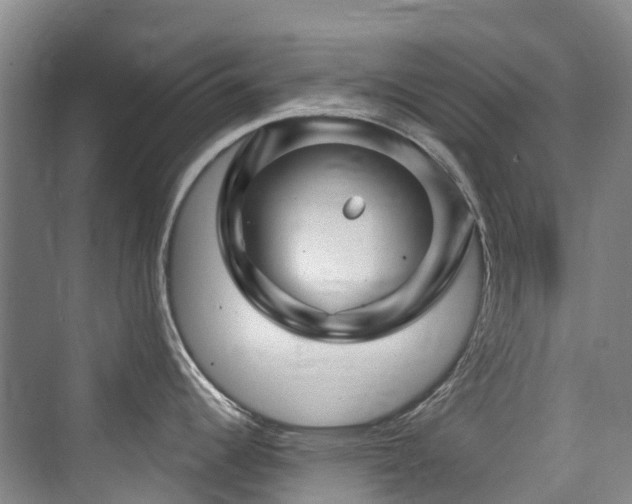 X0000073931344200608111150