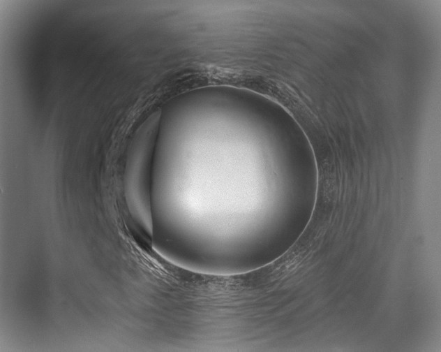 X0000073931345200608111149