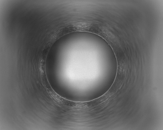 X0000073931346200608111149