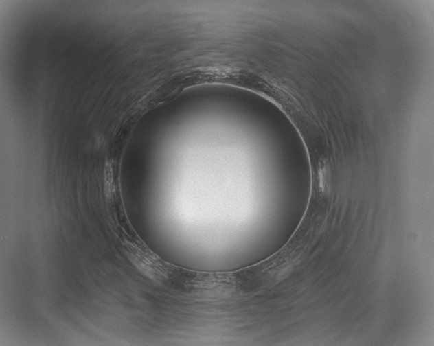 X0000073931347200608111149