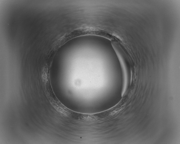 X0000073931348200608111149