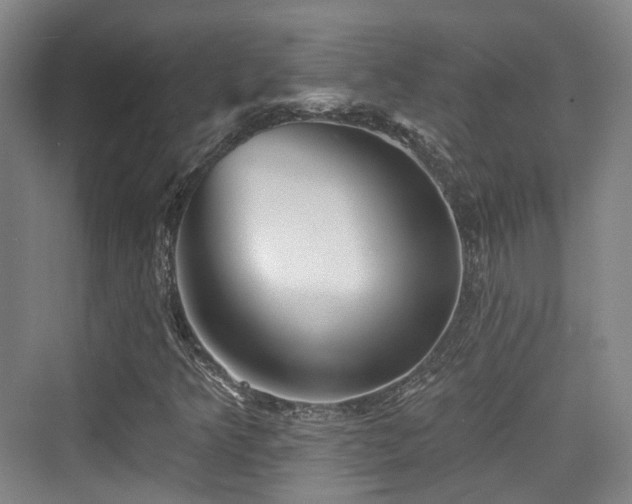 X0000073931349200608111149