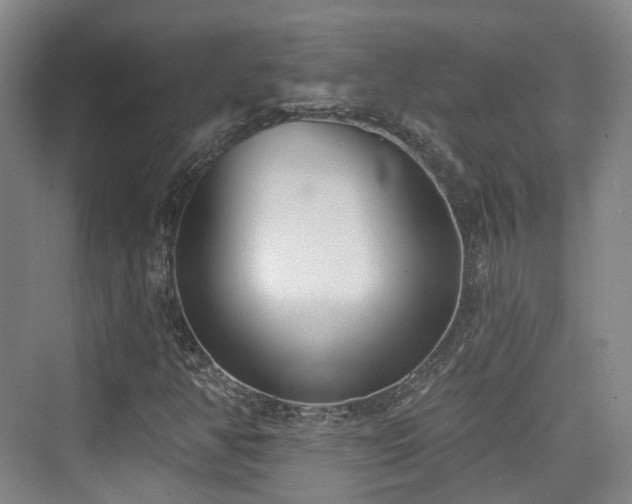 X0000073931350200608111149