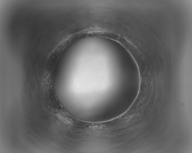 X0000073931351200608111149