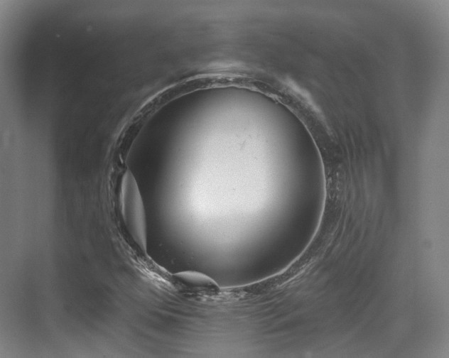 X0000073931352200608111149