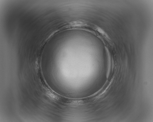 X0000073931353200608111149