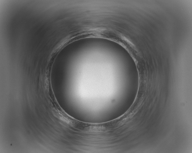 X0000073931354200608111149