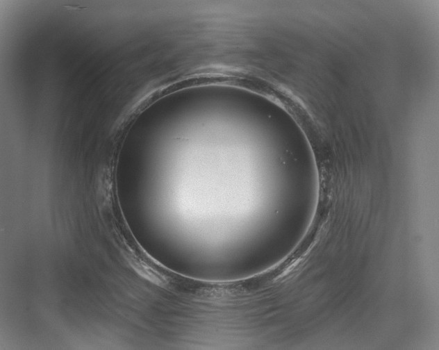 X0000073931355200608111149