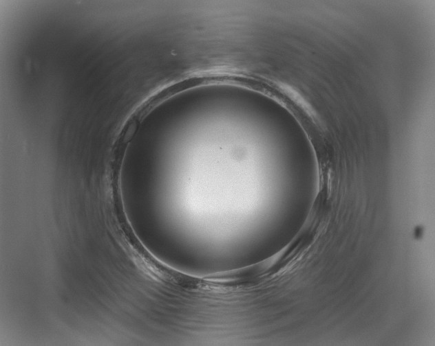 X0000073931356200608111149