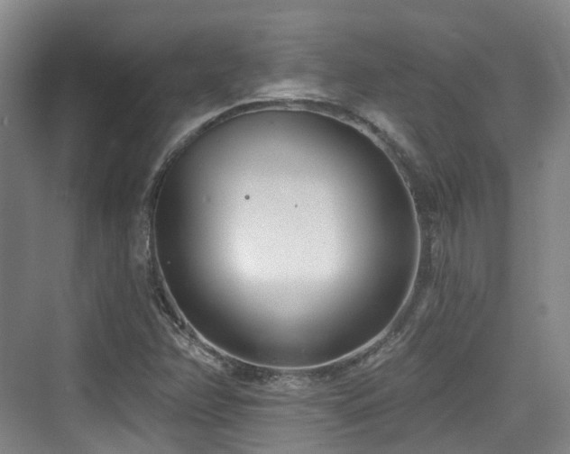 X0000073931358200608111149