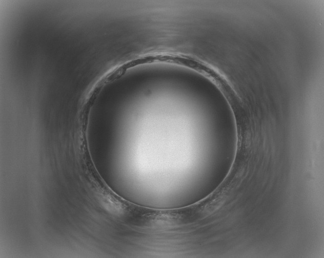 X0000073931359200608111149