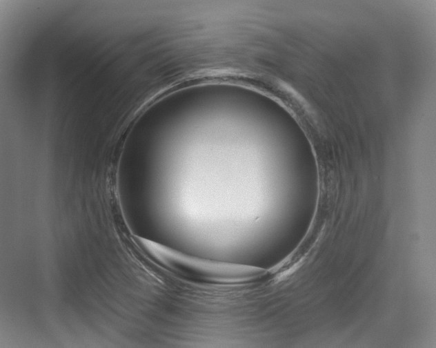 X0000073931361200608111149