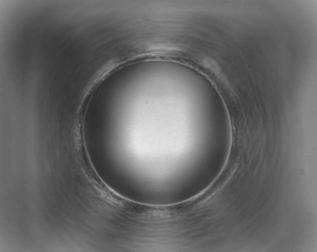 X0000073931362200608111149