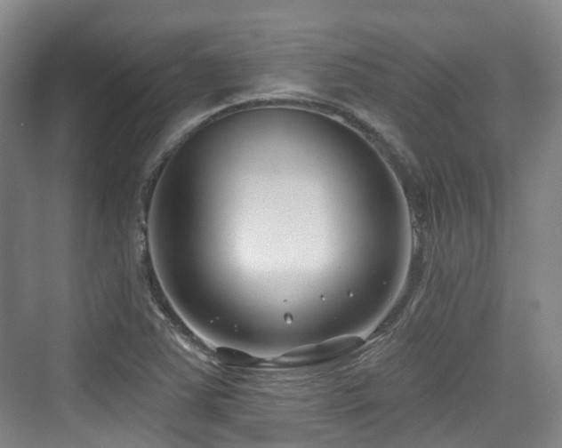 X0000073931363200608111149