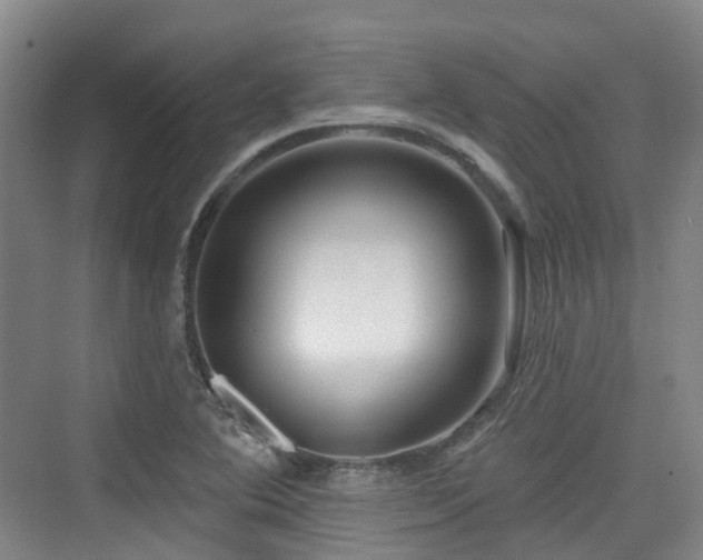 X0000073931364200608111149