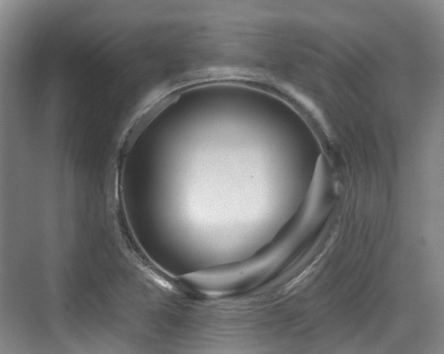 X0000073931365200608111149