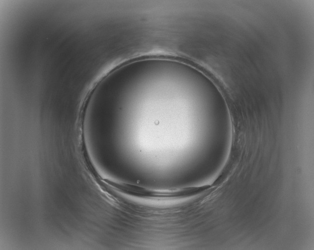 X0000073931367200608111149