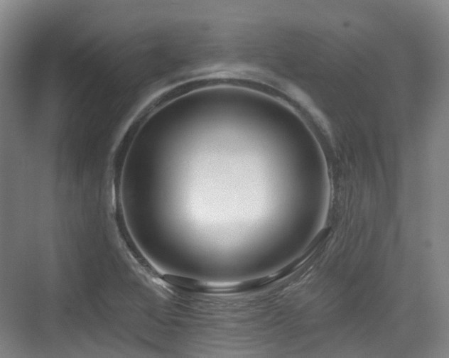 X0000073931368200608111149