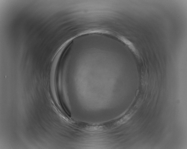 X0000073931369200608111149