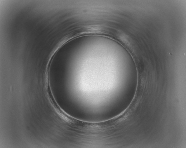 X0000073931370200608111149