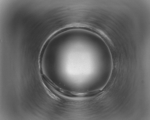 X0000073931372200608111149