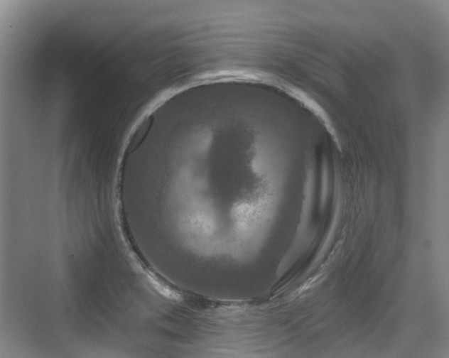 X0000073931373200608111149