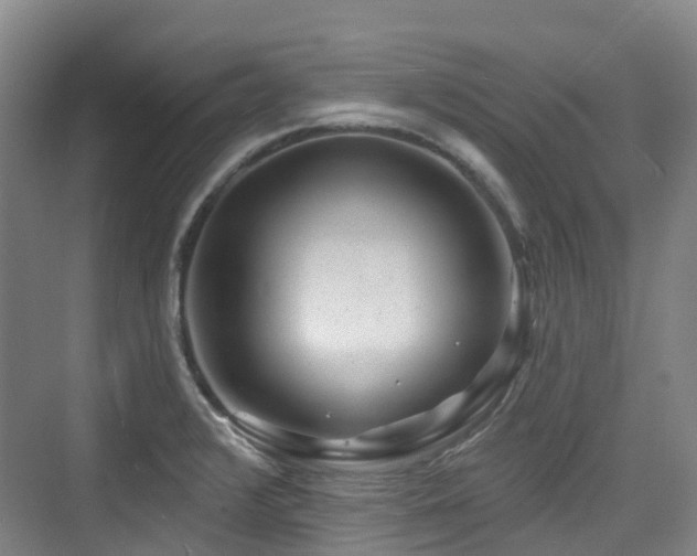 X0000073931376200608111149