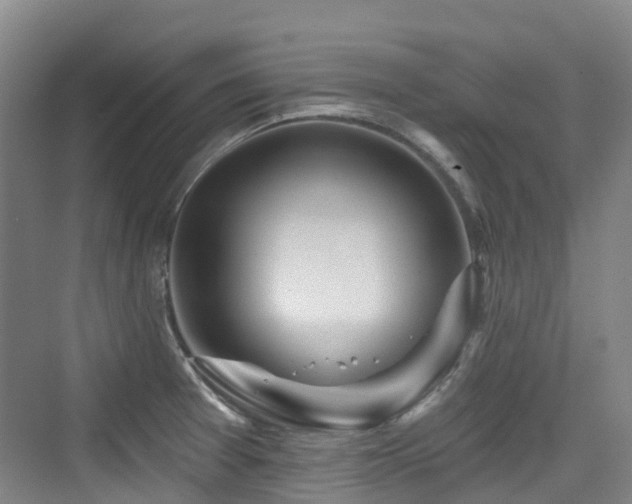 X0000073931377200608111149